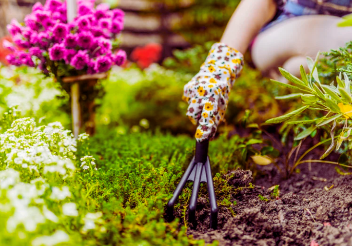 A Spring Reset: Welcoming the Season with Intention