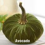 Pumpkin Large Velvet,  Fern