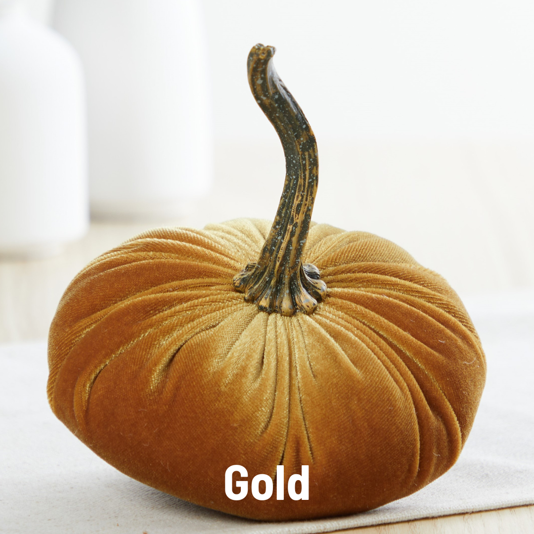 Pumpkin Small Velvet,  Fern