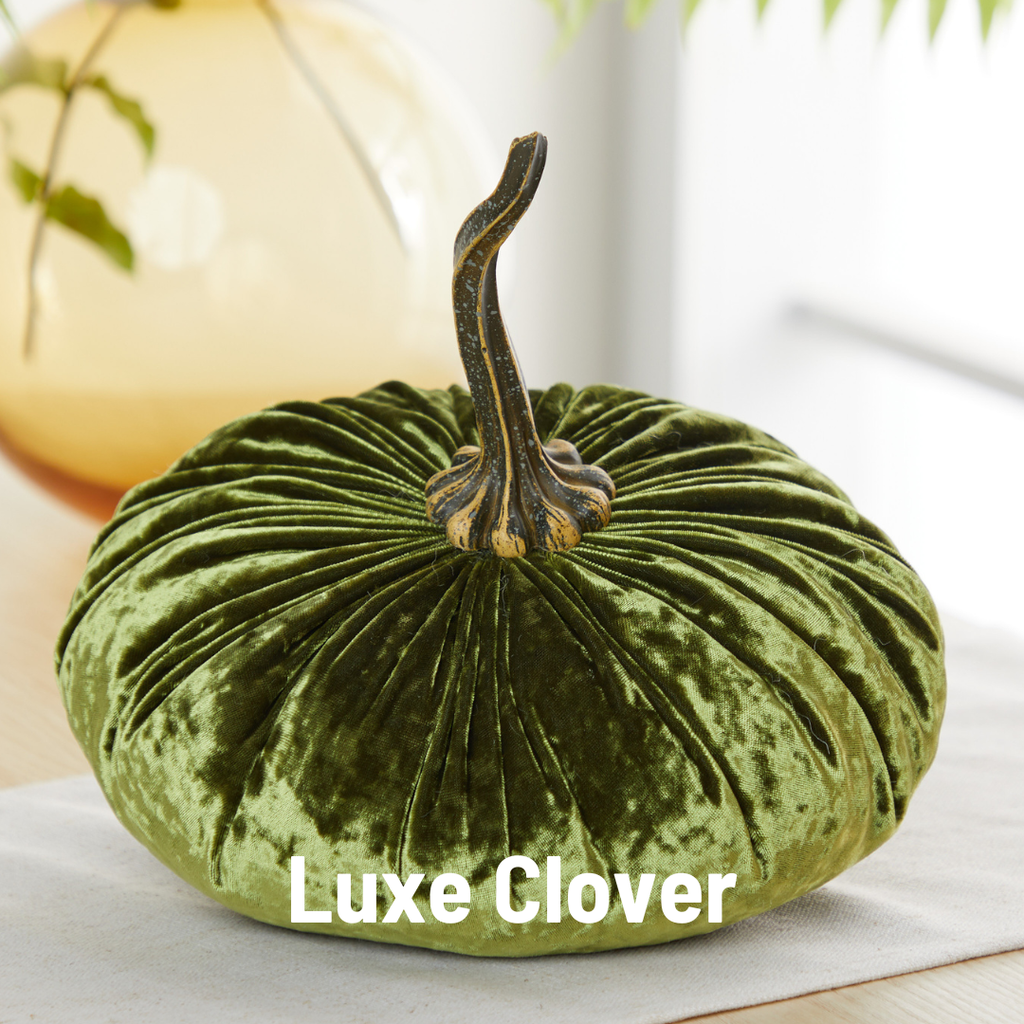 Pumpkin Extra Large Velvet, Ivory