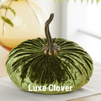 Pumpkin Extra Large Velvet, Ivory