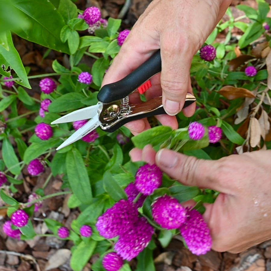 Ironwood 6" Needle Nose Secateurs