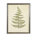 Fern Print: Gold Frame 2425-35 Aq / 16" X 12"