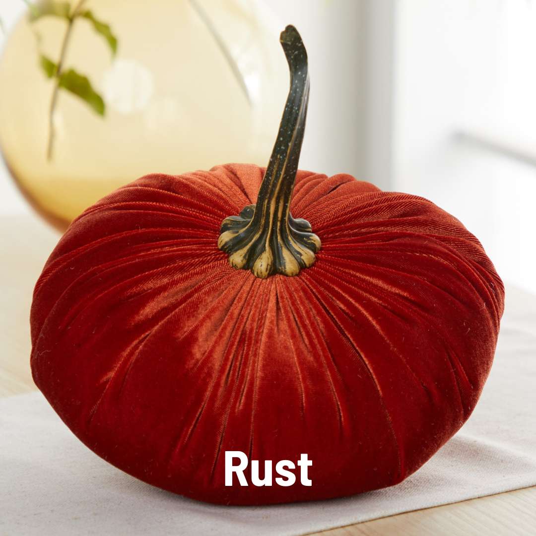 Pumpkin Extra Large Velvet, Ivory