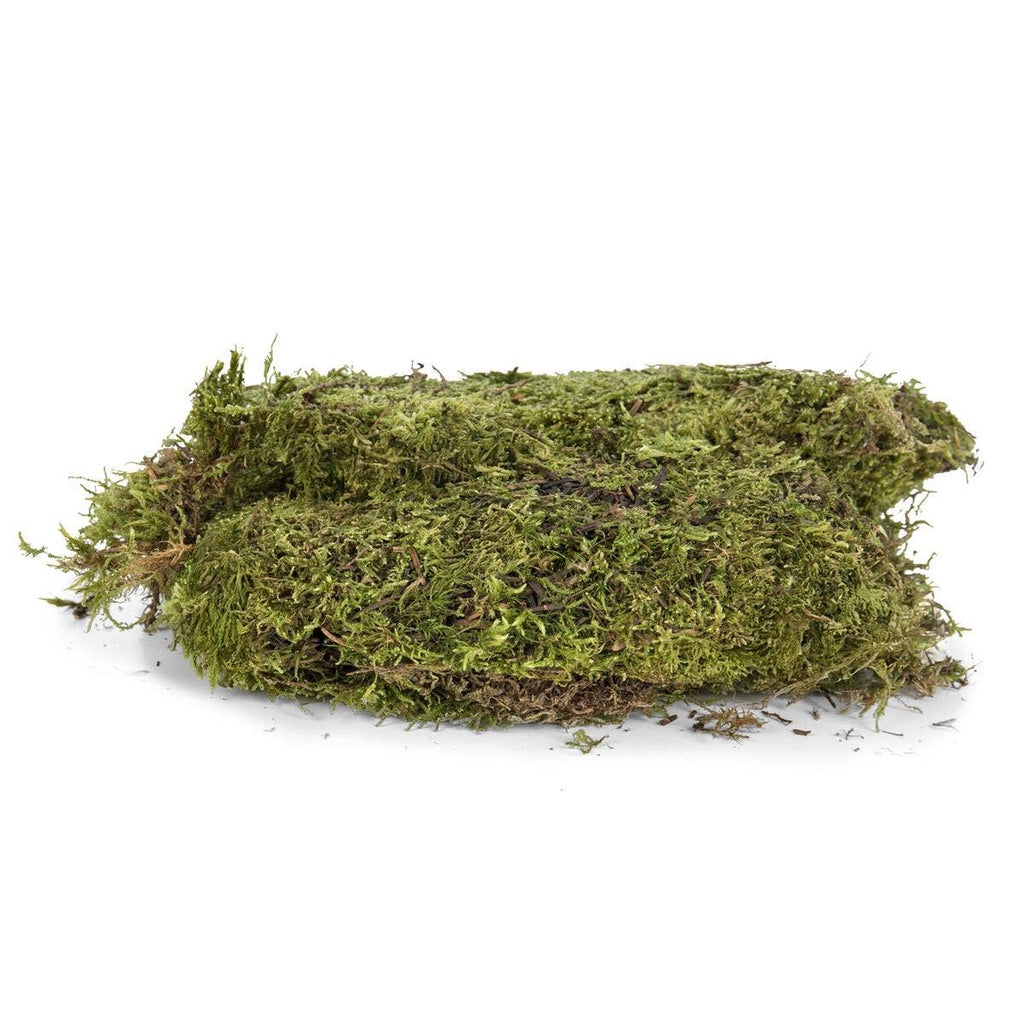 Premium Sheet Moss - 16oz Bag Natural Dried