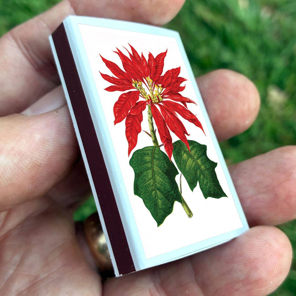 Matches • Poinsettia Flowers • Home Decor for Candles