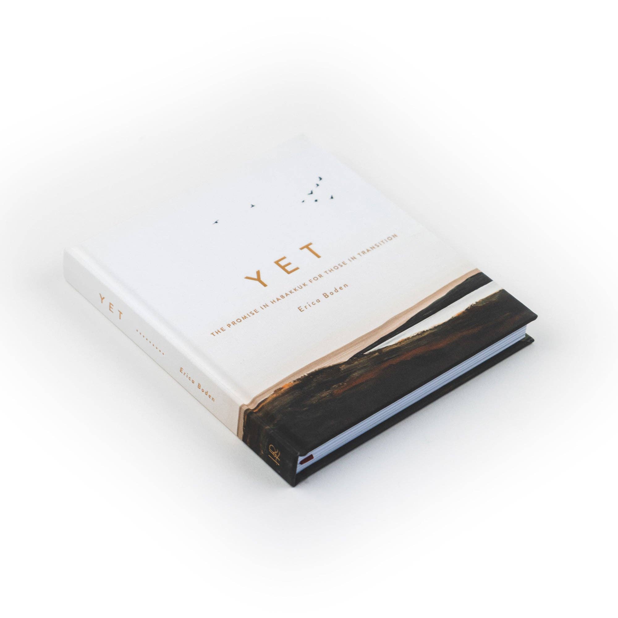 Bible Study: Yet (Study in Habakkuk) by Erica Boden