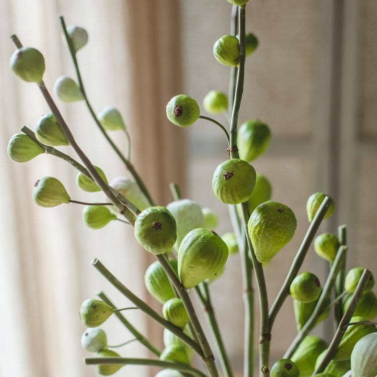 Artificial Fig Fruit Stem 30" Tall Silk Branch: Green / One Stem