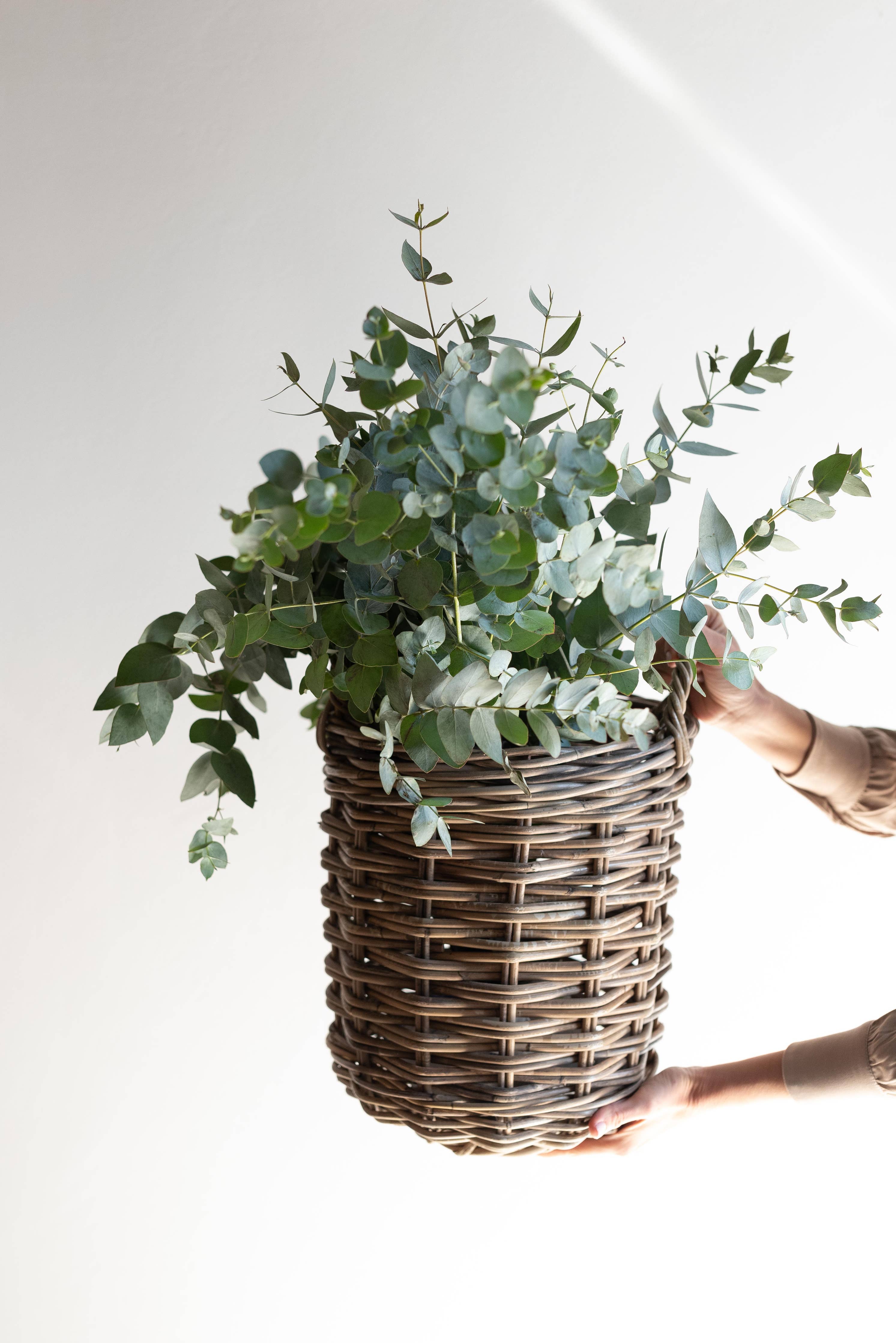 Rattan Round Basket: Large - 17" H