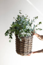 Rattan Round Basket: Medium - 15" H
