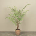 3.5' POTTED FERN