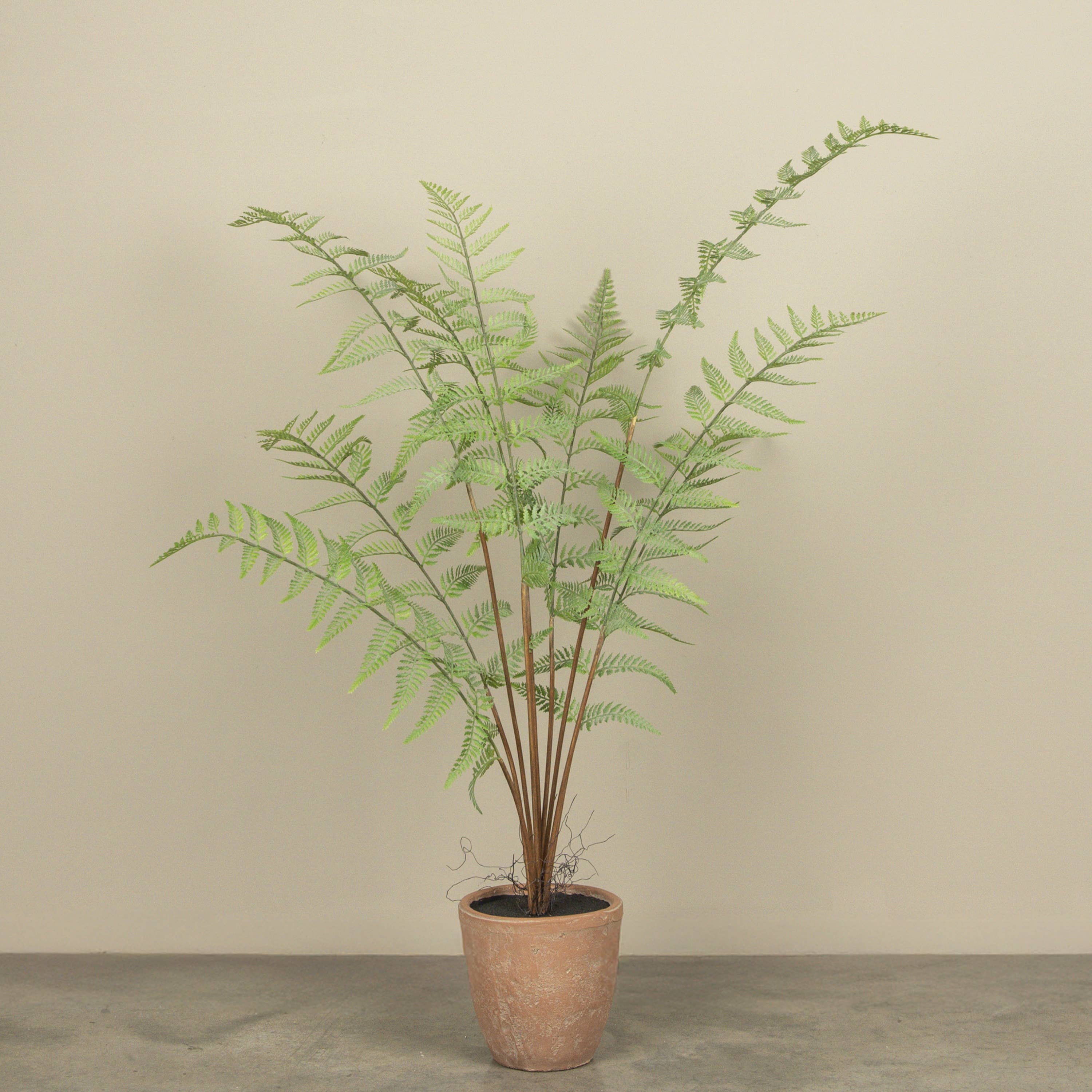 3.5' POTTED FERN