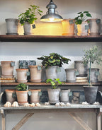 Coventry Terracotta Pots: Pale Terracotta / 7.5"d x 8"h