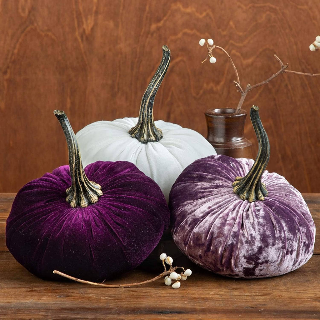 Pumpkin Large Velvet,  Fern