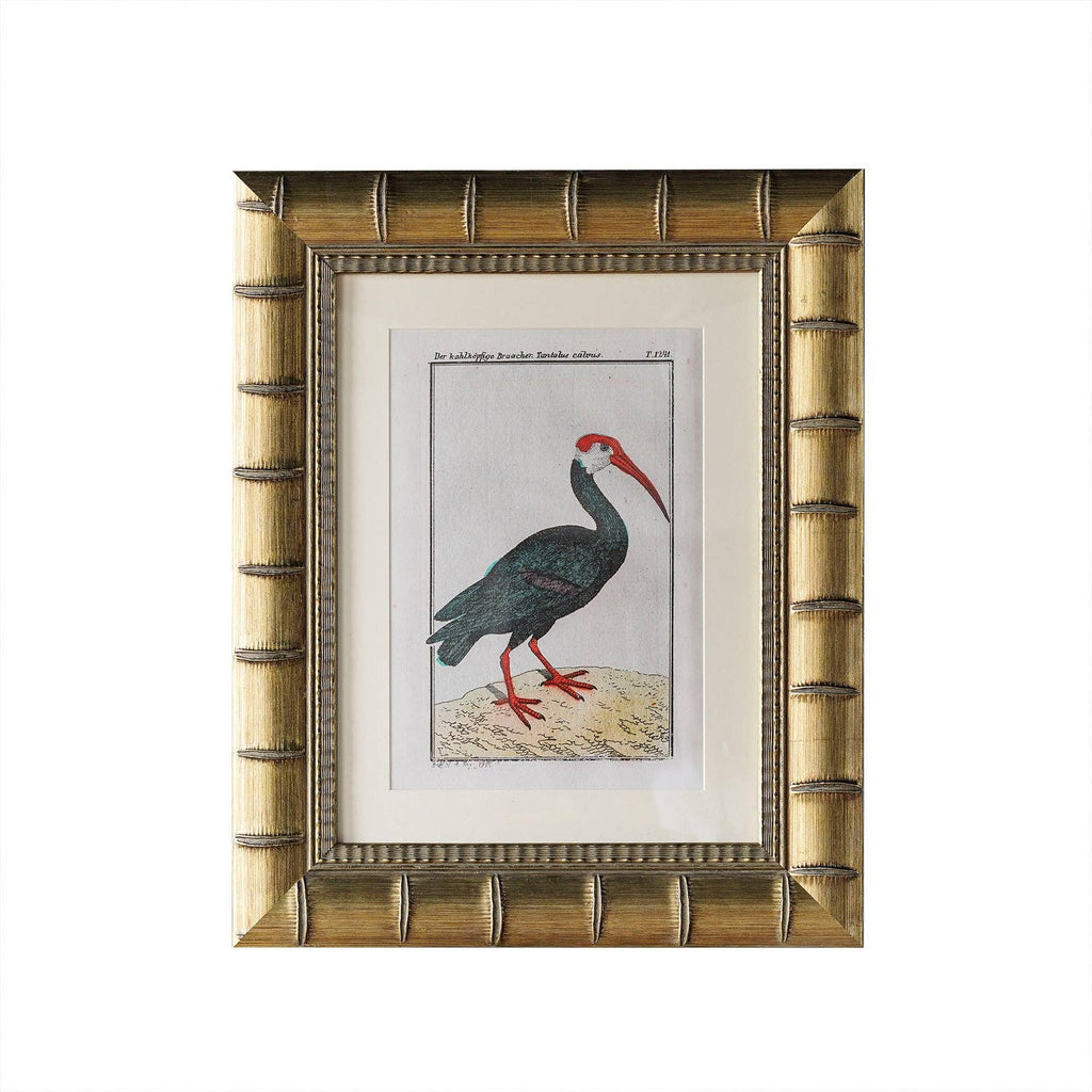 Brixham Matted Frame: 5" x 7" w. Stand