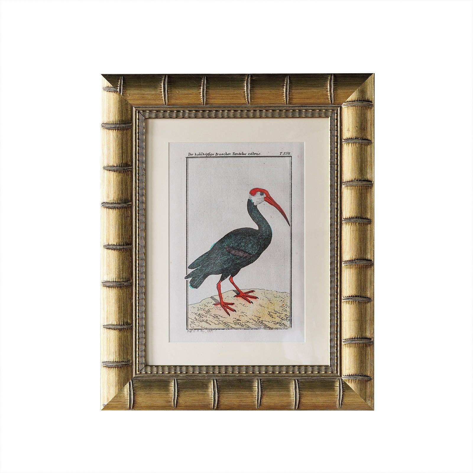 Brixham Matted Frame: 5" x 7" w. Stand
