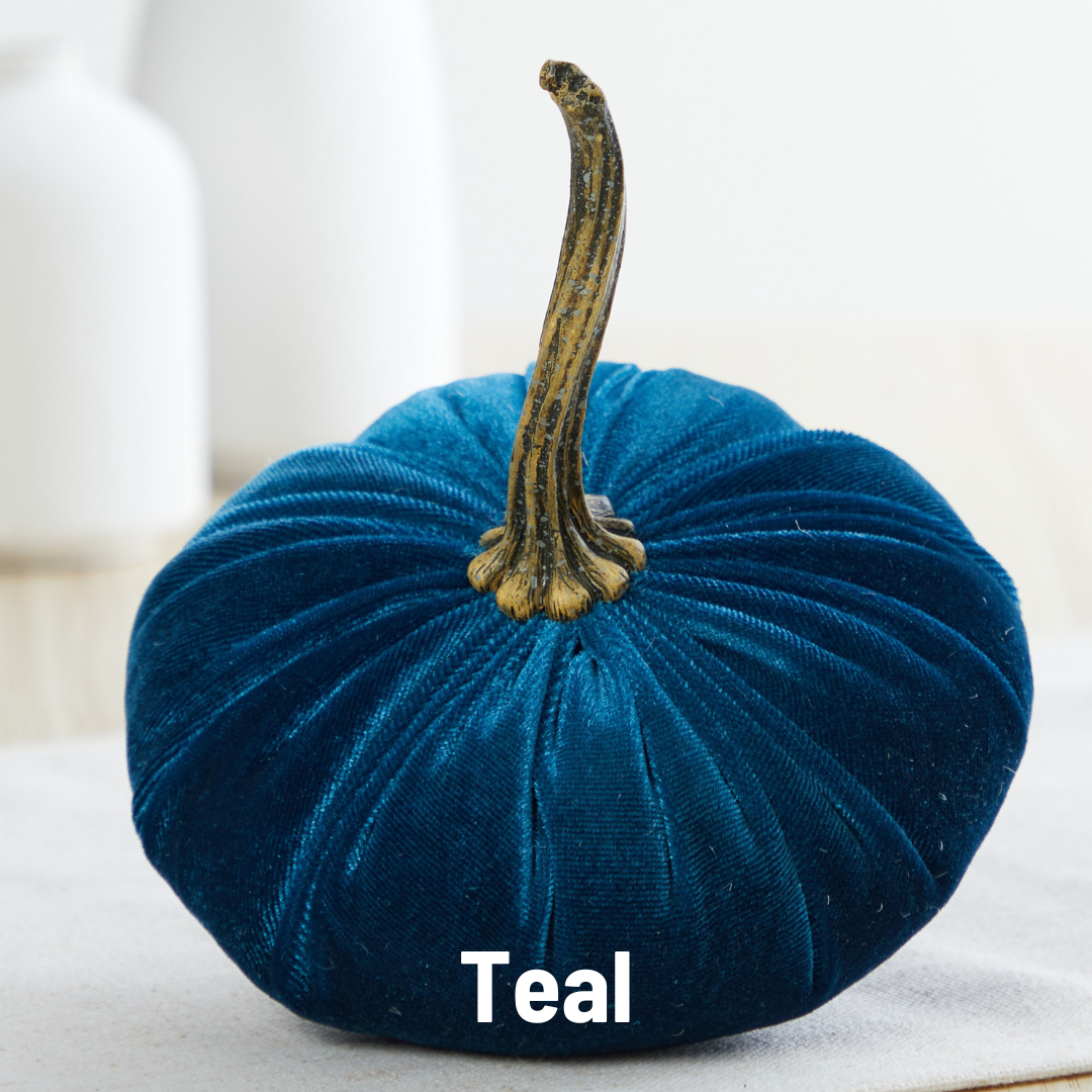 Pumpkin Small Velvet,  Fern