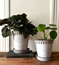 Coventry Terracotta Pots: Pale Gray / 6.3"d x 6"h