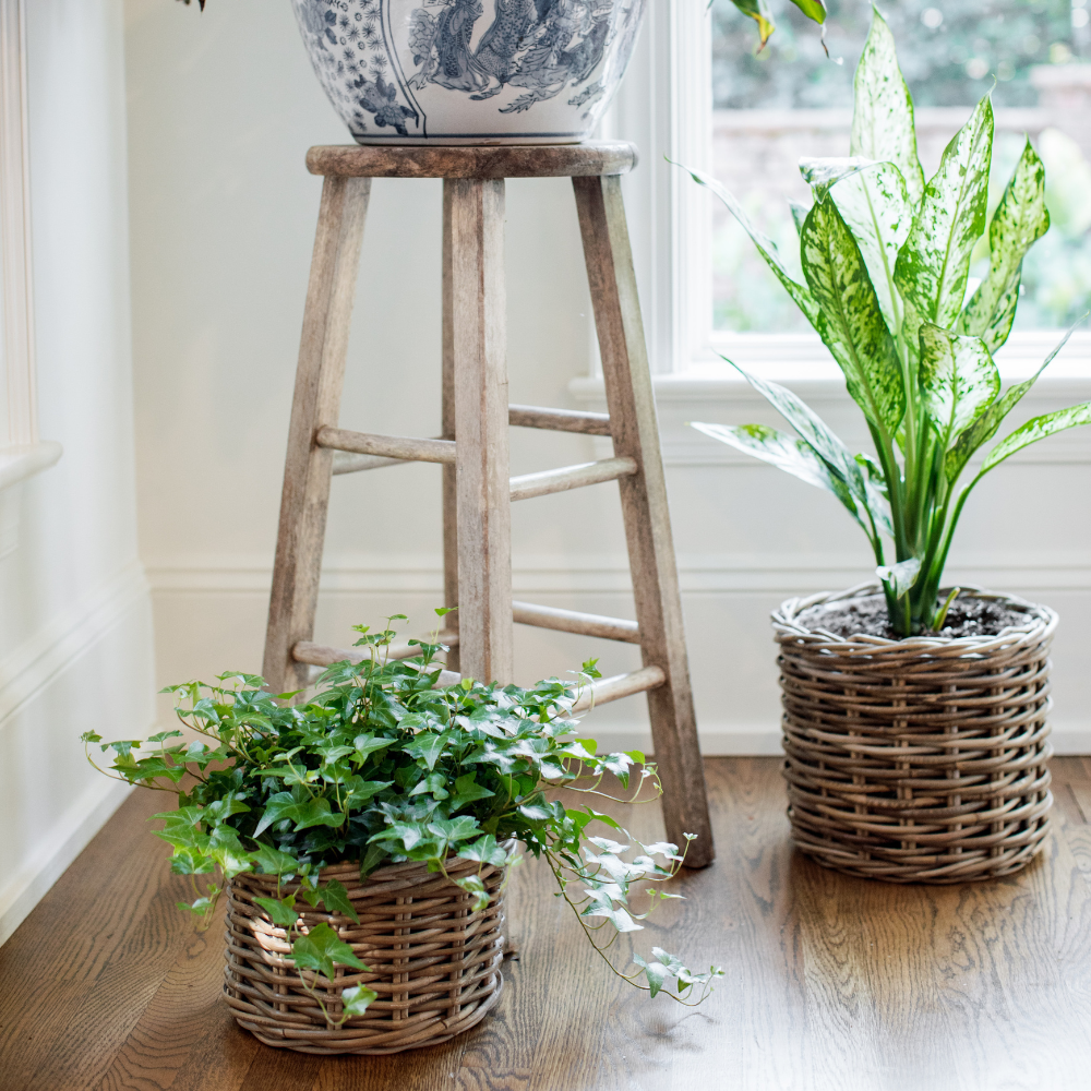 Rattan Planter Baskets: Small - 8.5" H