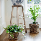 Rattan Planter Baskets: Small - 8.5" H
