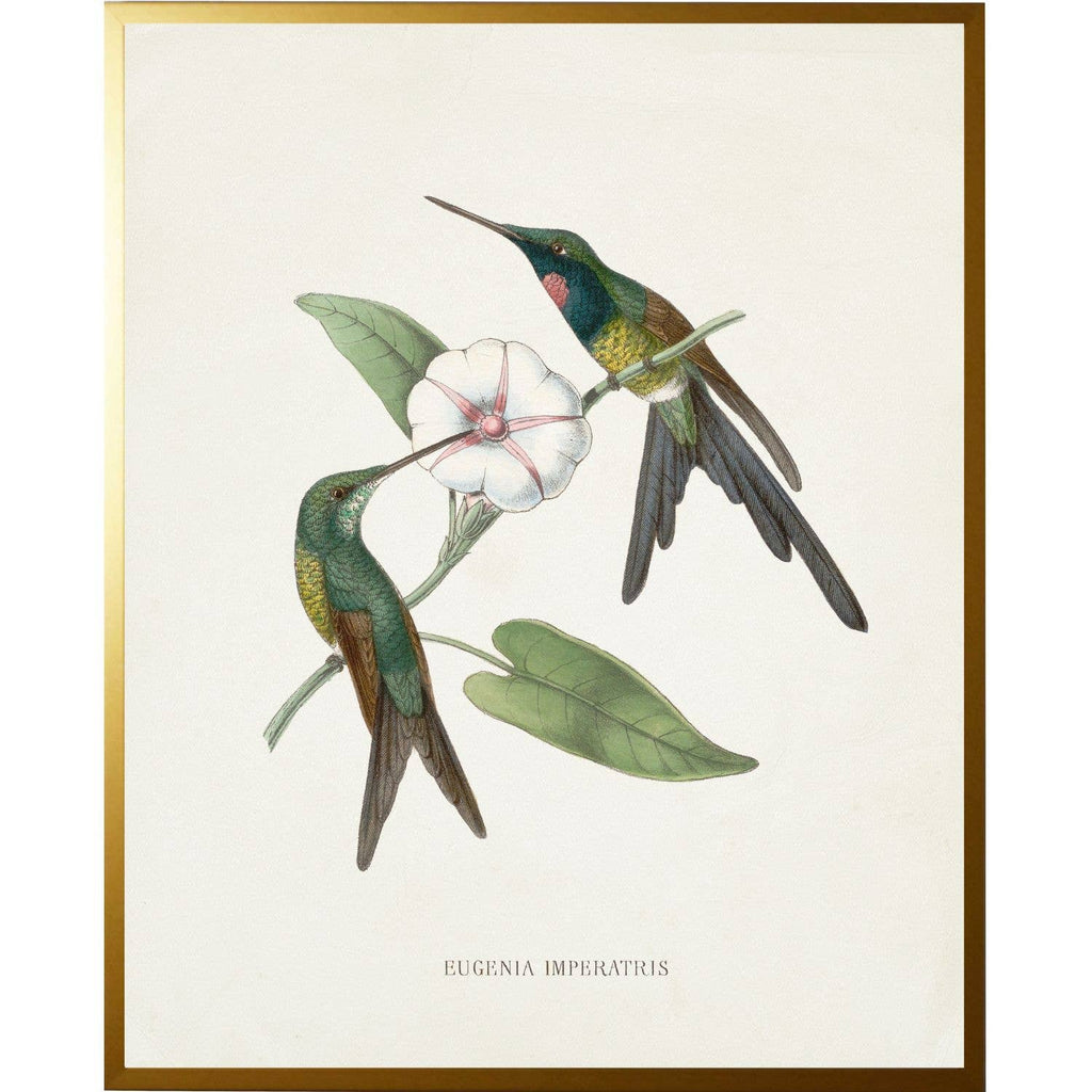 Vintage hummingbird O on a distressed background: Gold Frame 2425-35 Aq / 16" X 20"