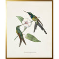 Vintage hummingbird O on a distressed background: Gold Frame 2425-35 Aq / 16" X 20"