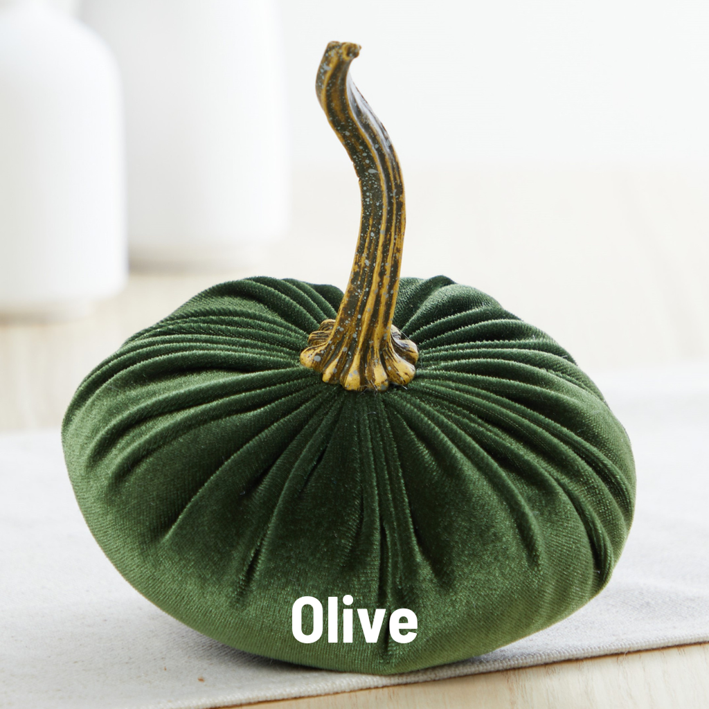 Pumpkin Small Velvet, Harvest