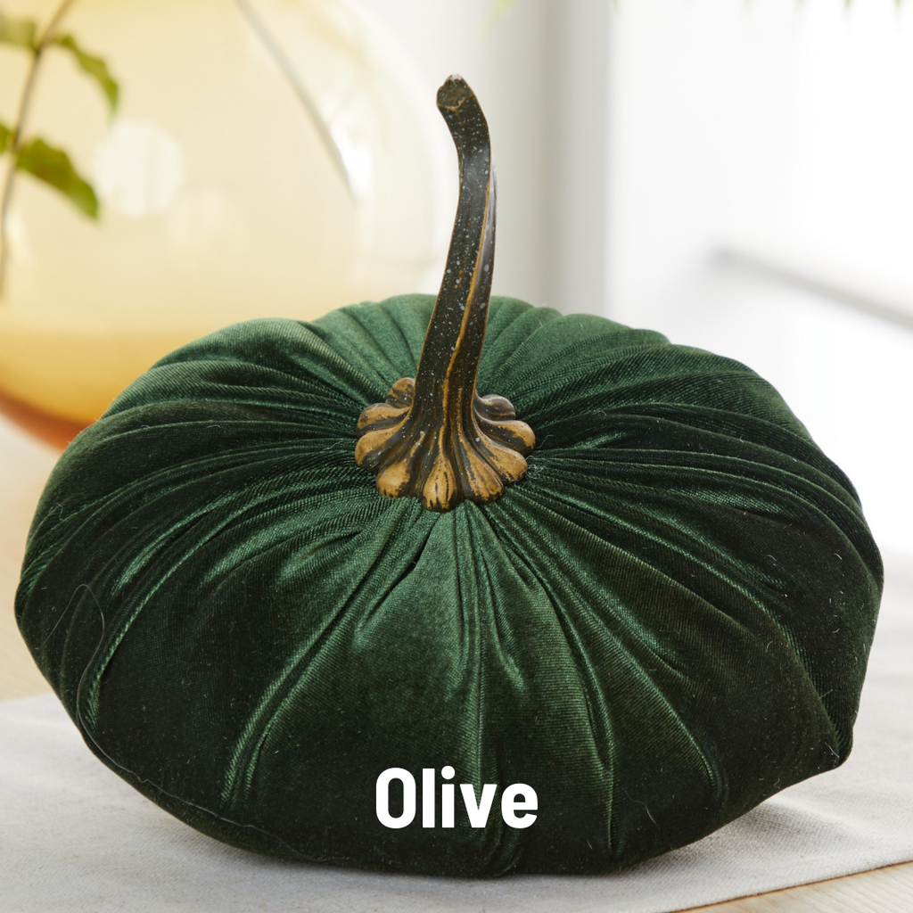 Pumpkin Extra Large Velvet, Ivory