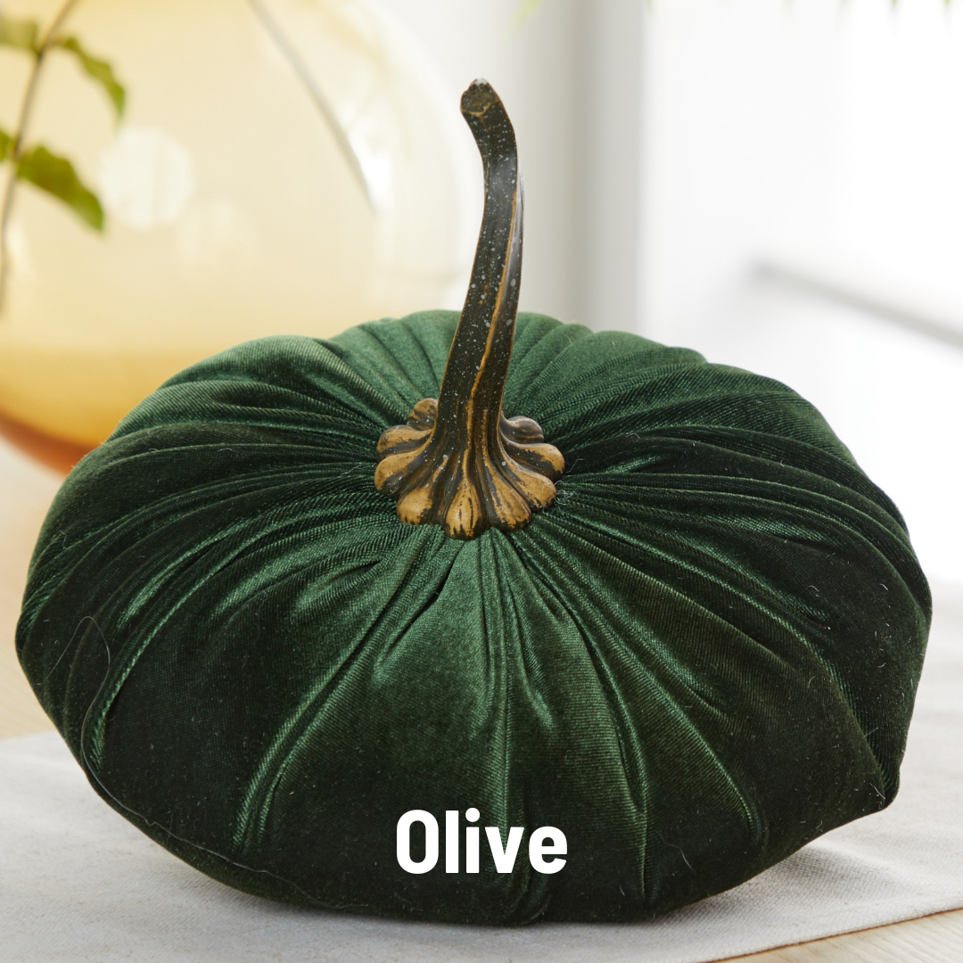 Pumpkin Extra Large Velvet, Ivory