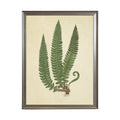 Fern Print: Gold Frame 2425-35 Aq / 16" X 12"
