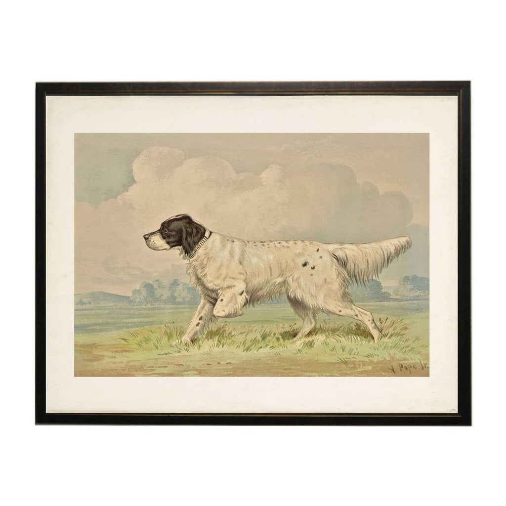 Vintage spotted retriever on a distressed natural background: Black Frame 2400-35 Za / 24" X 18"