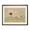 Vintage spotted retriever on a distressed natural background: Black Frame 2400-35 Za / 24" X 18"