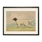 Vintage spotted retriever on a distressed natural background: Black Frame 2400-35 Za / 24" X 18"