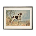 Vintage english pointer on a distressed natural background: Black Frame 2400-35 Za / 24" X 18"