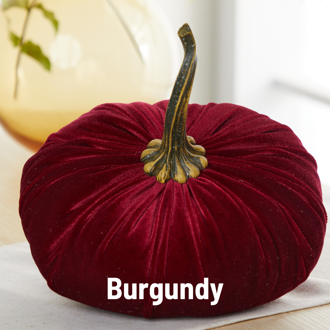 Pumpkin Extra Large Velvet, Ivory