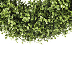 UV Boxwood Round Wreath 19 Inch