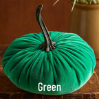 Pumpkin Large Velvet,  Fern