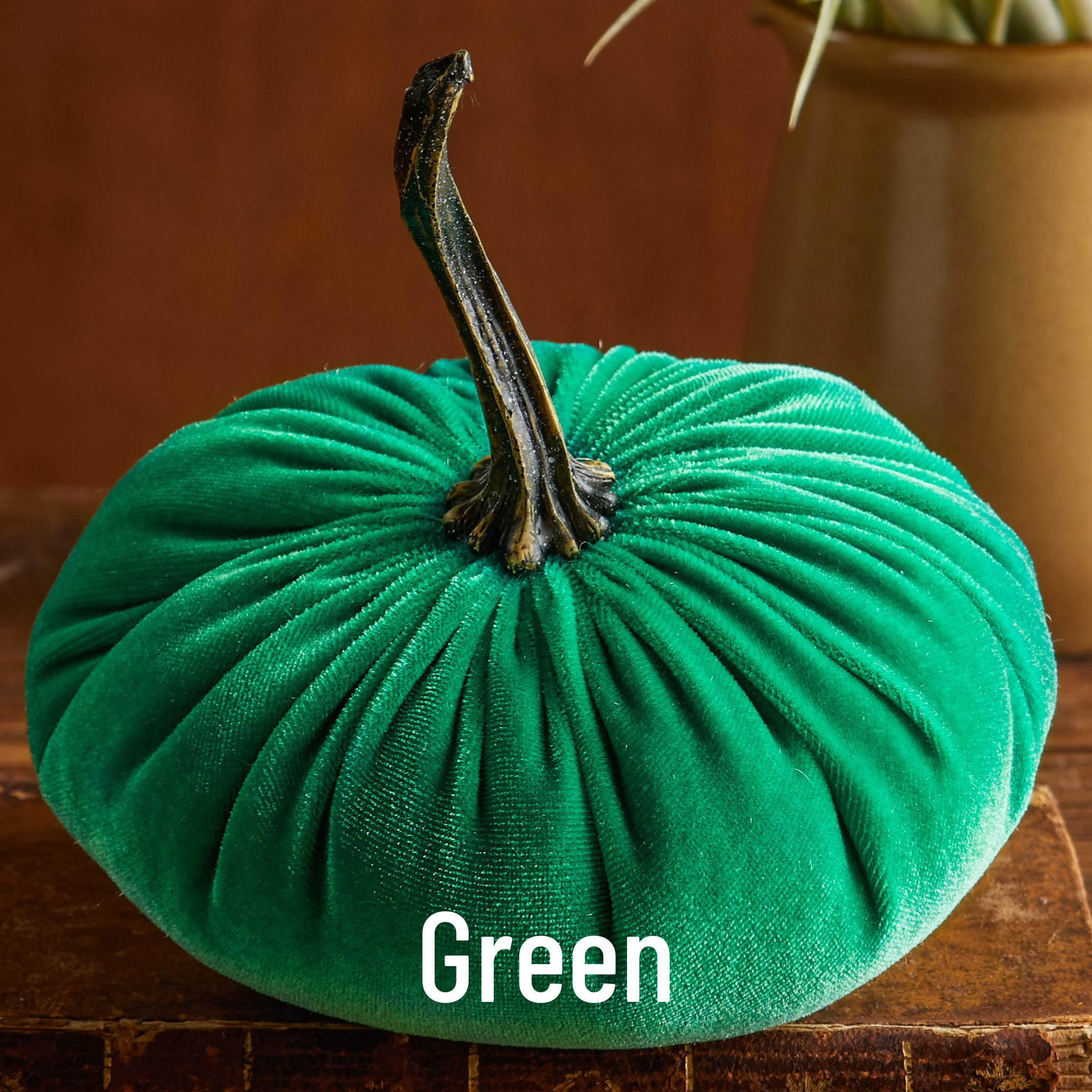 Pumpkin Large Velvet,  Fern