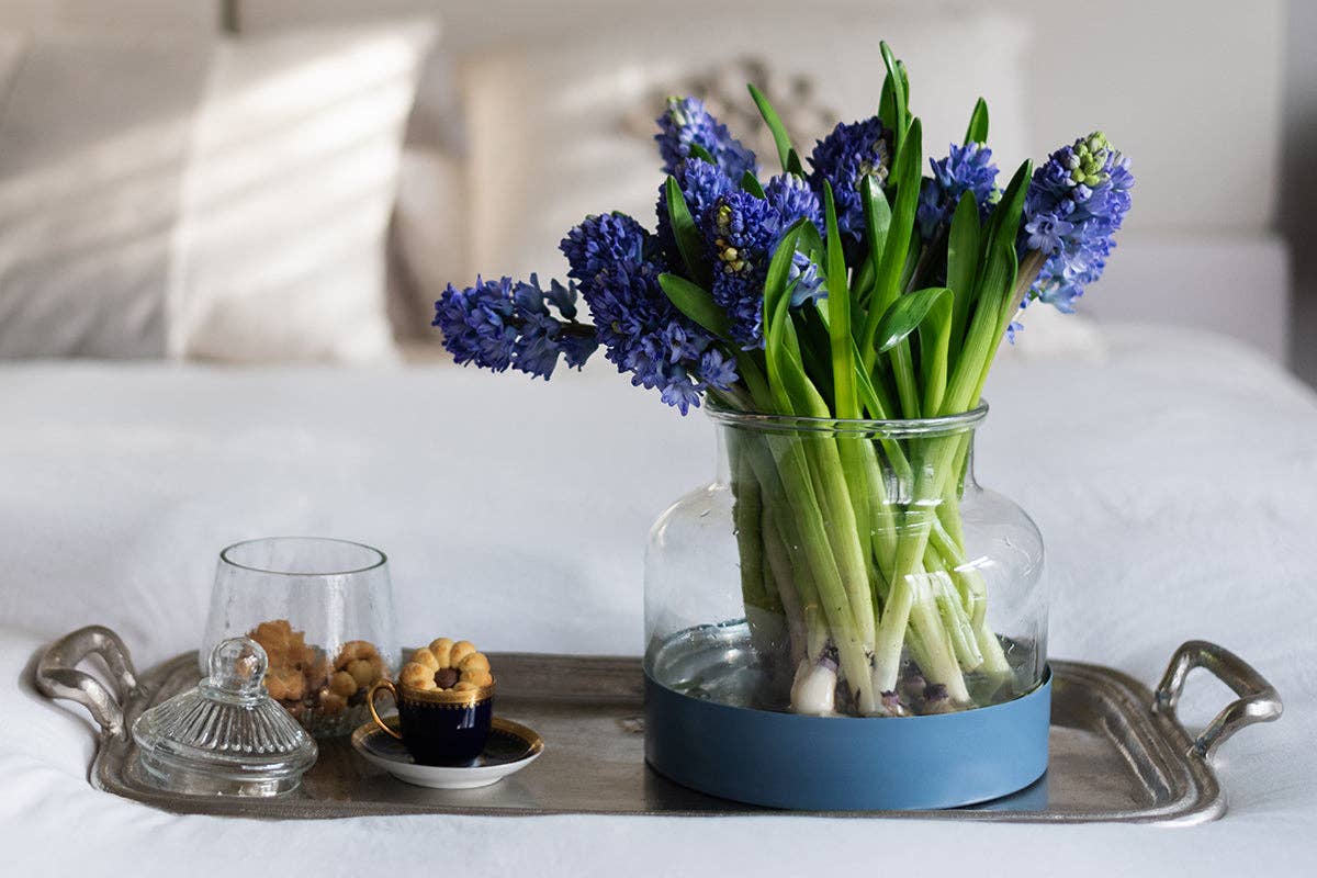 Bistro Glass Biscuit Jar