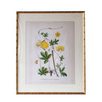 Arundel Matted Frame: 4"x6" w. Stand