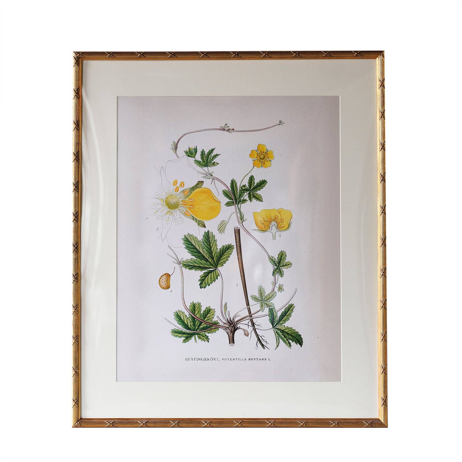 Arundel Matted Frame: 4"x6" w. Stand