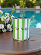 Citronella Candle - Paint Tin - Striped Label: Red / 12 oz