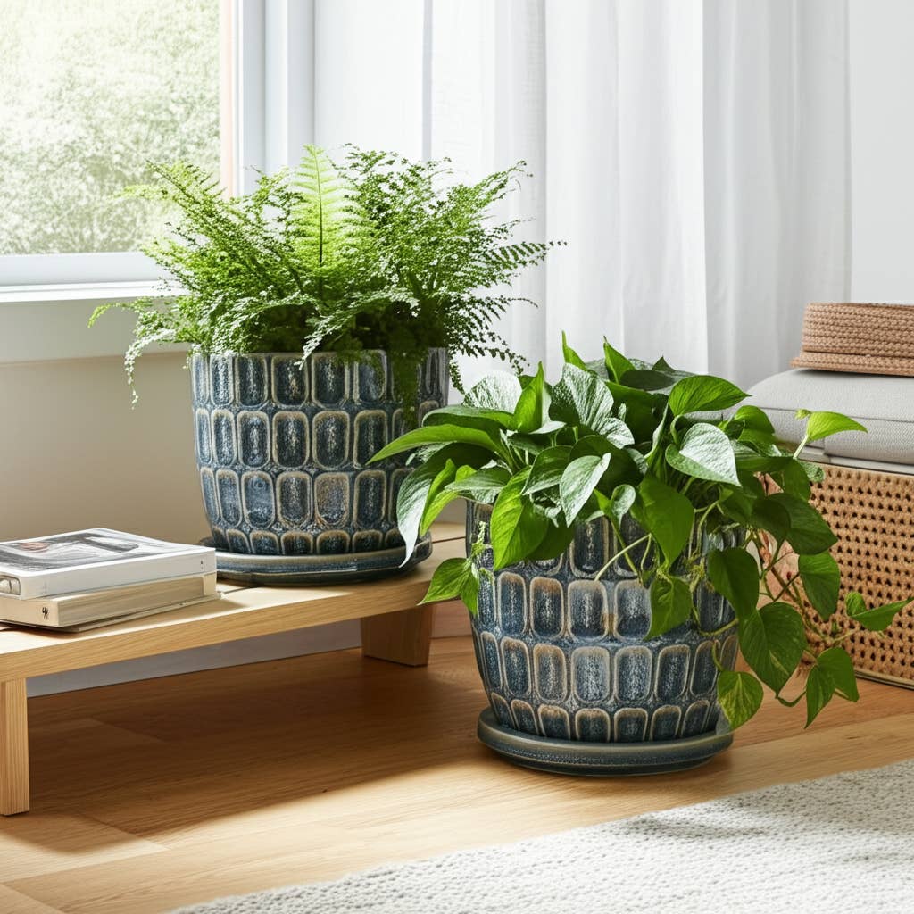 Blue 6/8 in. Ceramic Squoval Saucer Planter (Set of 2)