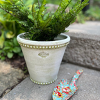 Long Tom Garden Pot Green 6"