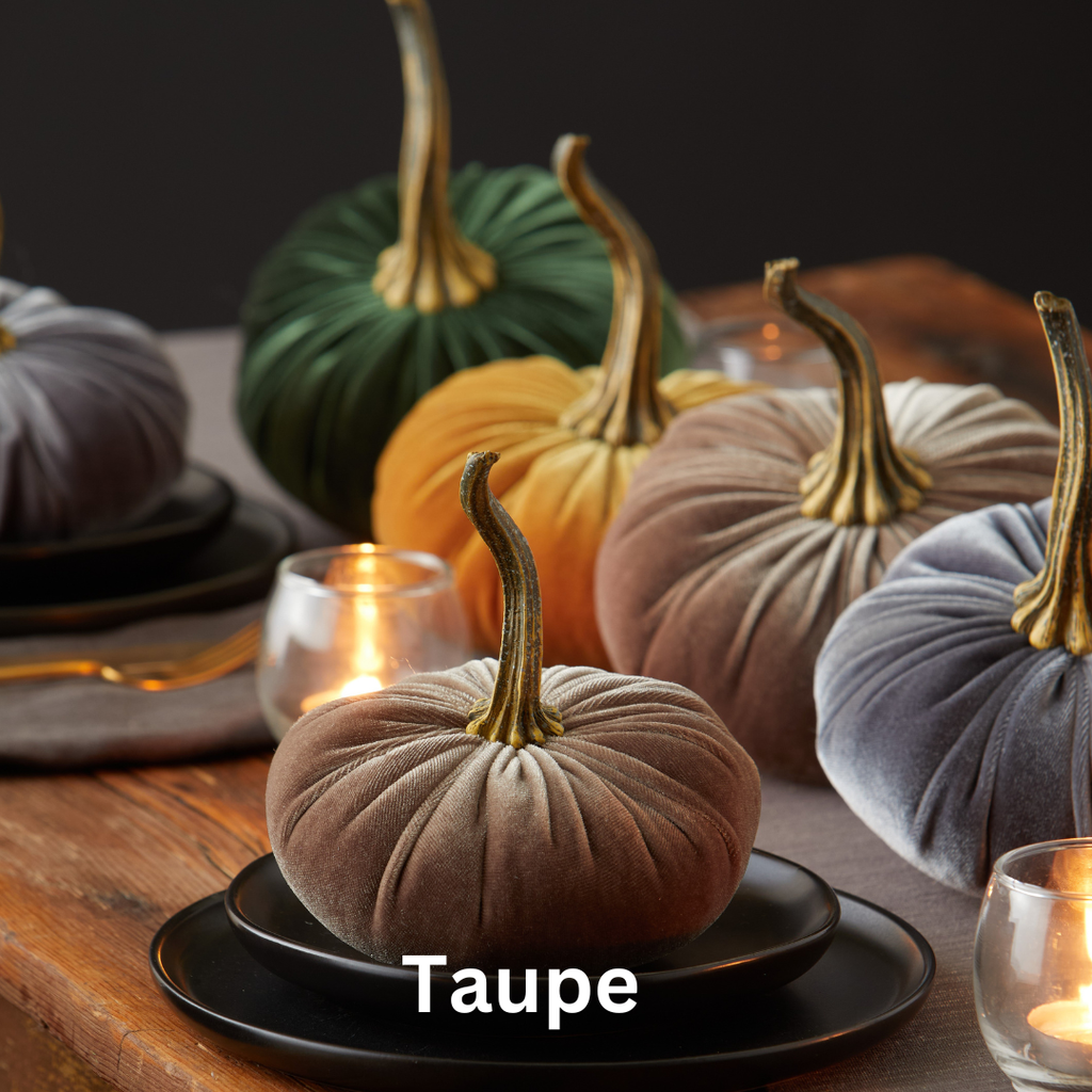 Pumpkin Small Velvet,  Fern