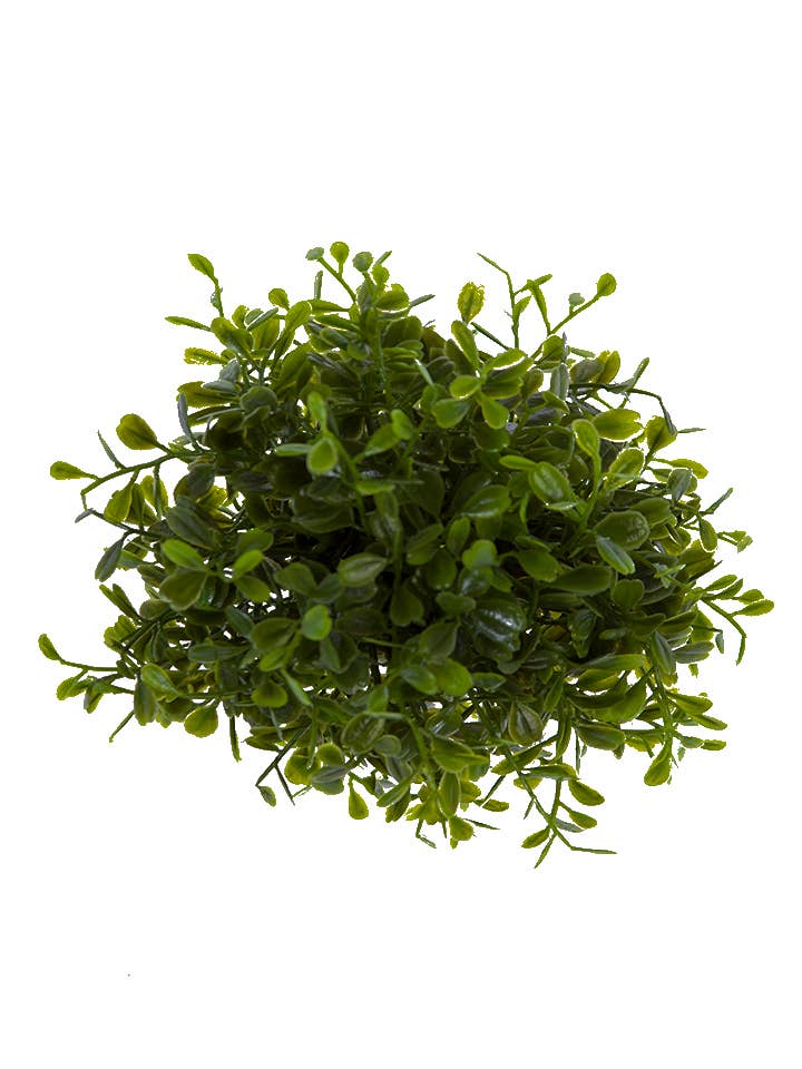 4" BOXWOOD BALL: GREEN