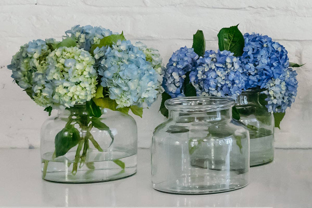 Clear Bloom Vase