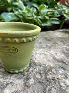 Long Tom Garden Pot Green 6"