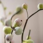 Artificial Fig Fruit Stem 30" Tall Silk Branch: Green / One Stem