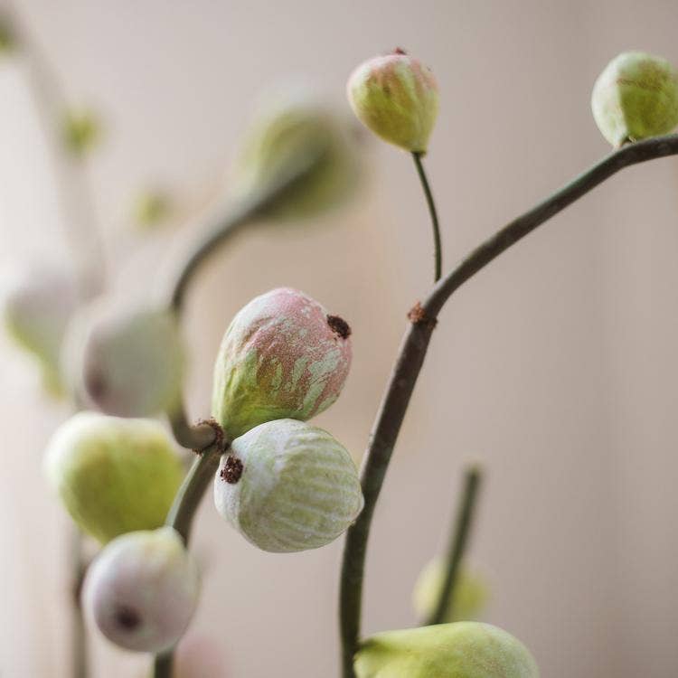 Artificial Fig Fruit Stem 30" Tall Silk Branch: Green / One Stem